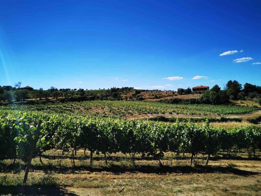 Quinta Da Eira Douro Valley Fermentoes  Екстериор снимка