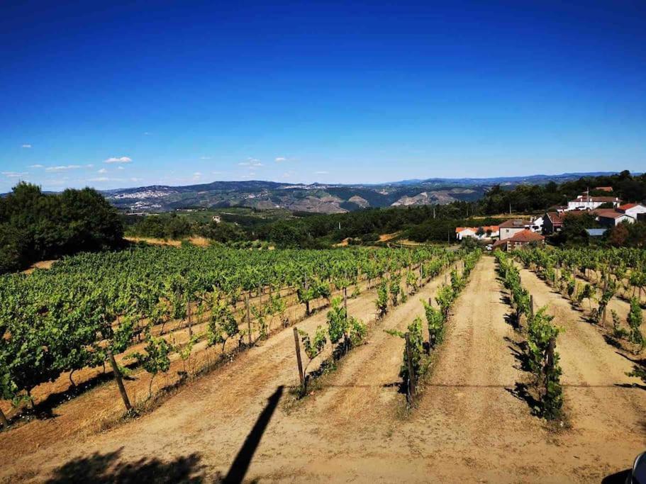 Quinta Da Eira Douro Valley Fermentoes  Екстериор снимка