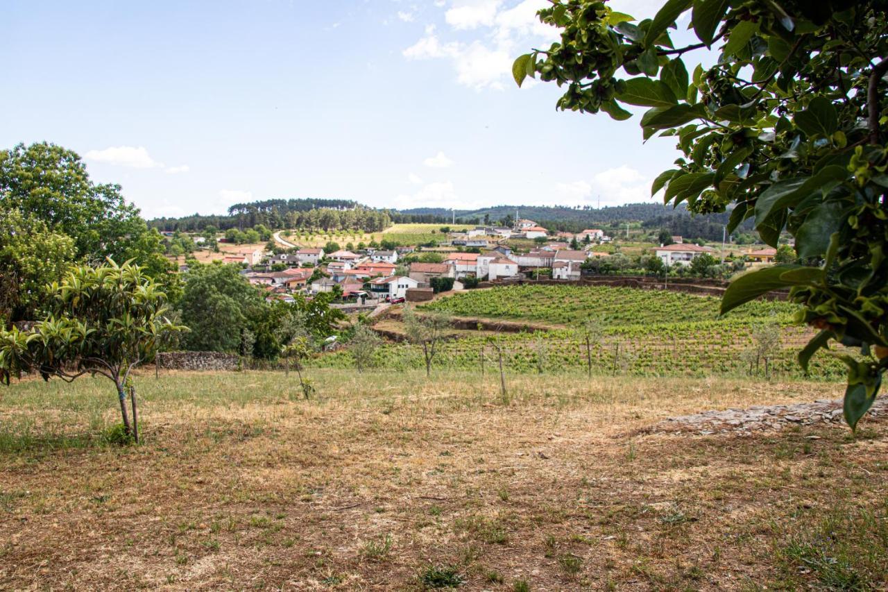 Quinta Da Eira Douro Valley Fermentoes  Екстериор снимка